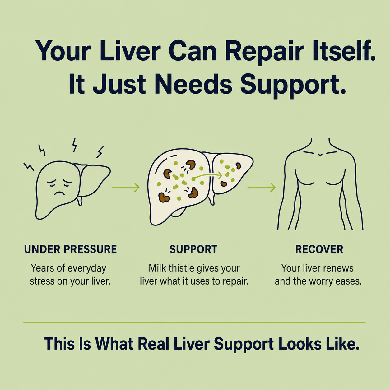 Serafin Advanced Liver Support